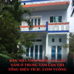 Bán Căn Nhà Siêu Phẩm Tại 2266 Huỳnh Tấn Phát, Quận 7, Thị Trấn Nhà Bè